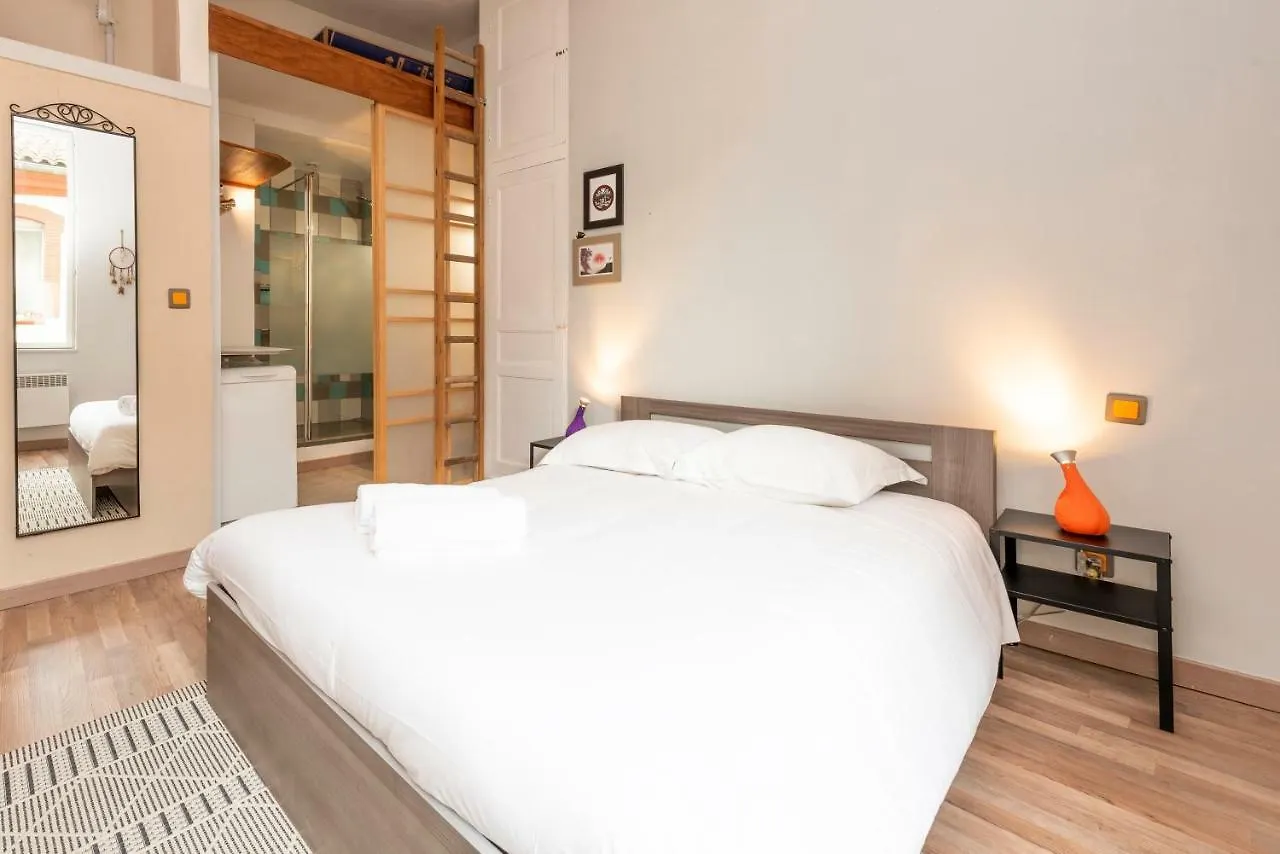 L'Ambree - Appartement Standing Toulouse Hypercentre Апартаменты